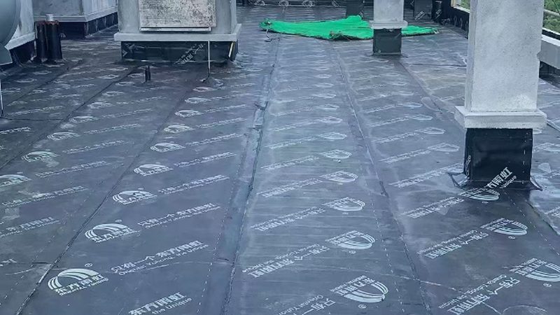 在众多家装防水补漏品牌中，以下几款品牌值得推荐：